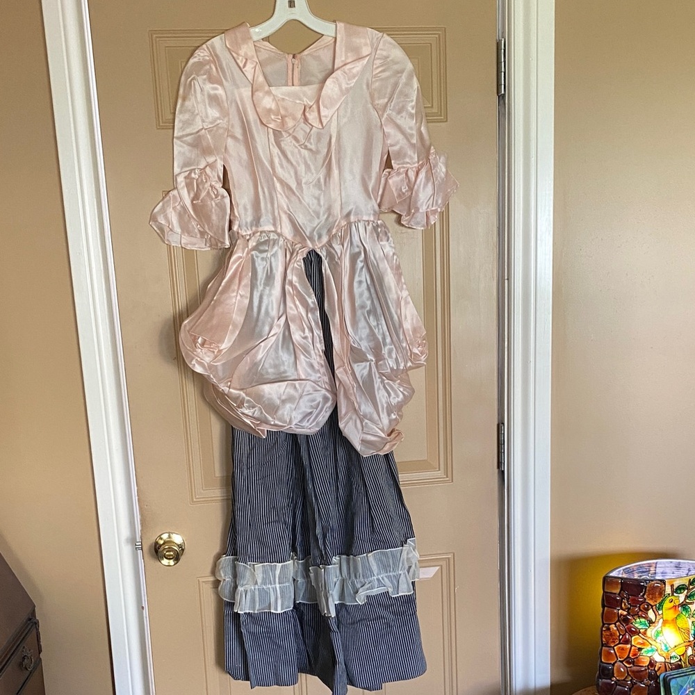 Pink and Gray Dress with Ruffle Details Costume for Halloween